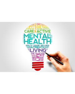 1 Day – Onsite First Aid For Mental Health - up to 12 People