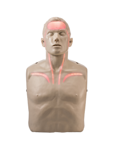 Brayden Adult Male Manikin with Red Illumination
