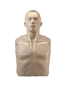 Brayden Adult Male Manikin with White Illumination